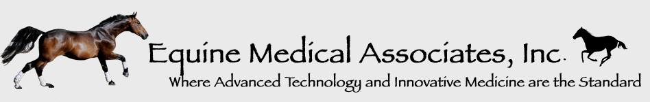 Equine Medical Associates, Inc.